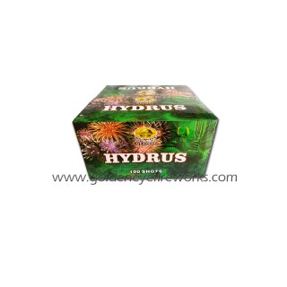 Kembang Api Hydrus Cake 1 inch 100 Shots - GE1100D